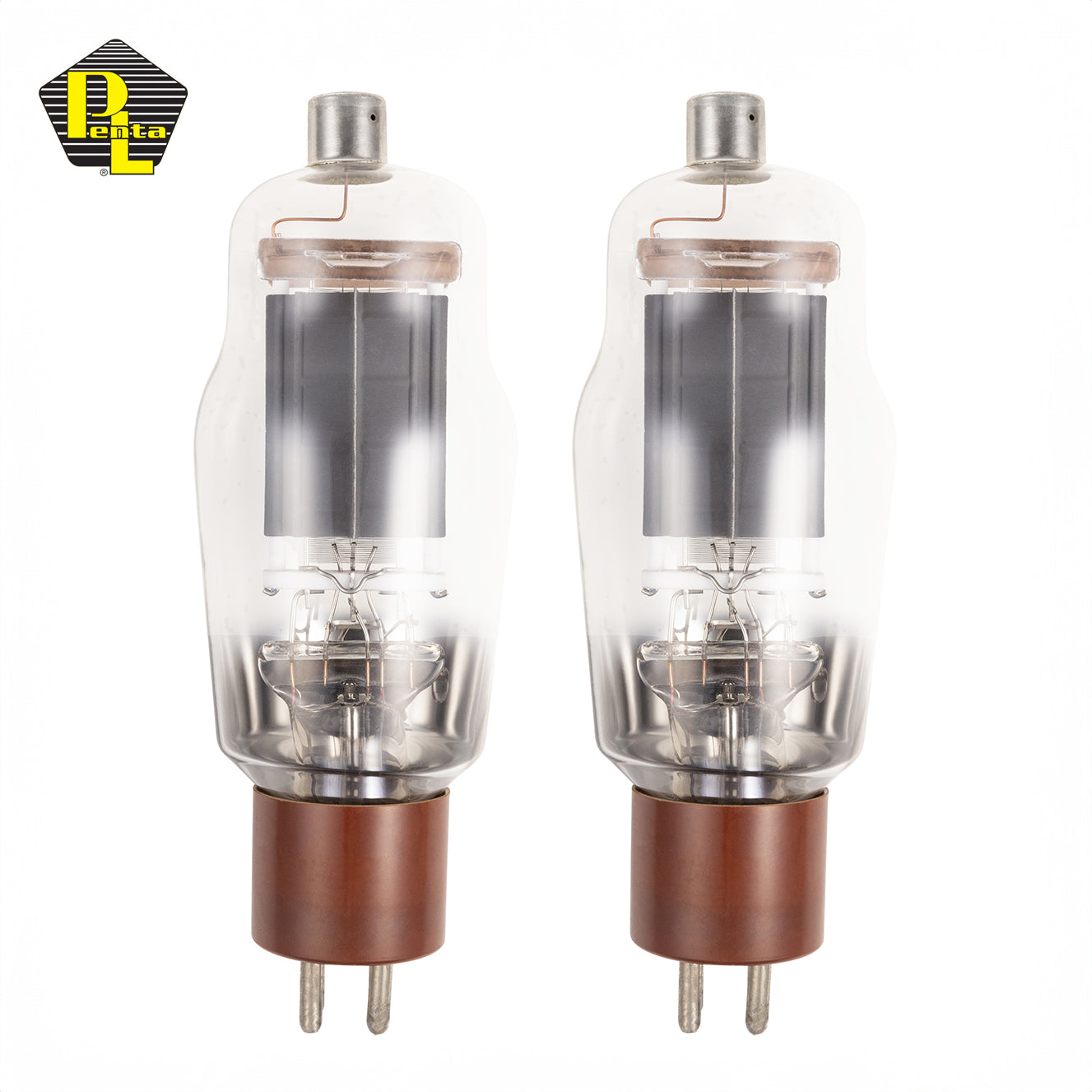 811A HI MU POWER TRIODE Uzavřený pár